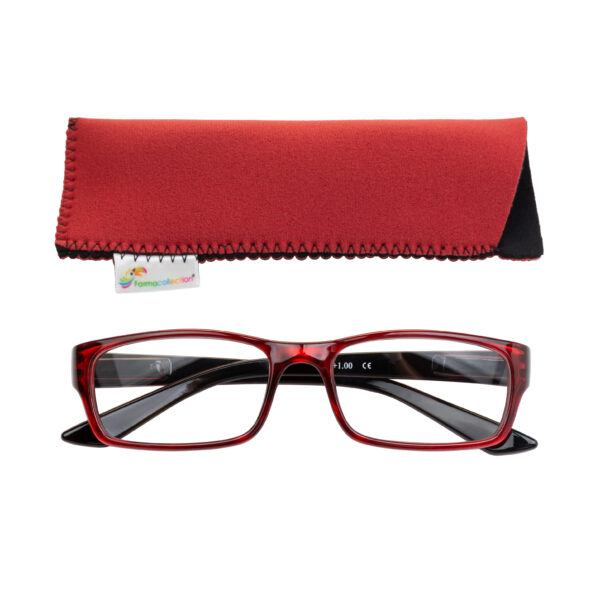 GAFAS DE PRESBICIA L98 - Imagen 2